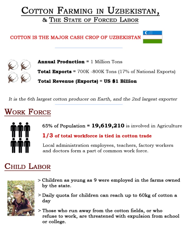 Uzbekistan cotton farming infogram