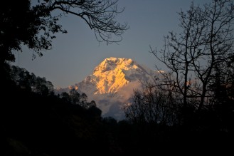 Annapurna I during sunset